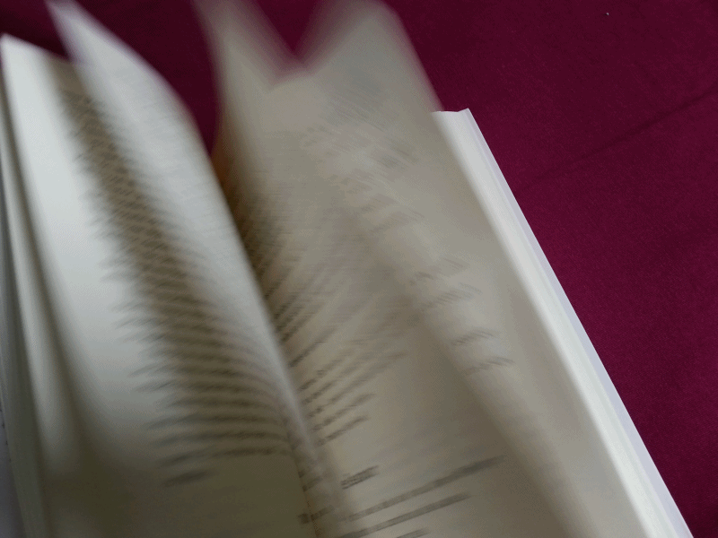 deiadietrich-livro-eleanor-e-park-gif