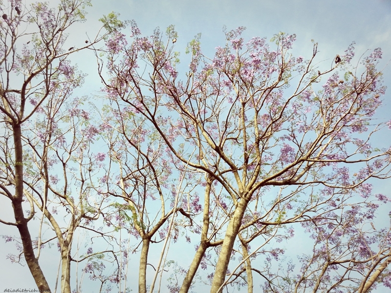 deiadietrich-lentecriativa-leveza5