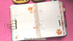 Caderno - Planner - Raposinhas