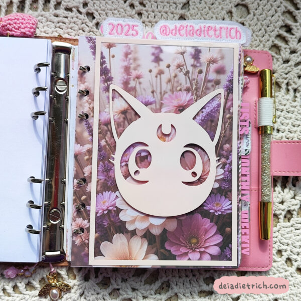 Dashboard - Catmoon - Imagem 1