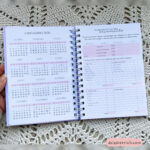 Planner Financeiro - 2025 - Imagem 3