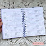 Planner Financeiro - 2025 - Imagem 6