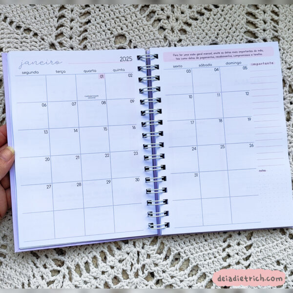 Planner Financeiro - 2025 - Imagem 8