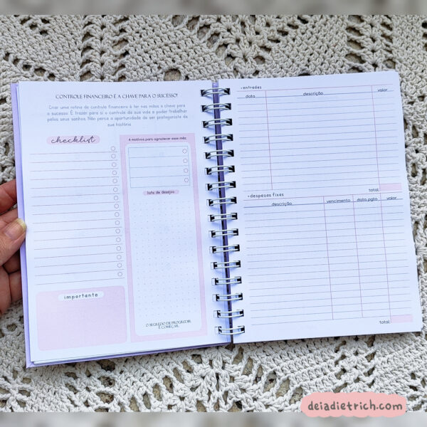 Planner Financeiro - 2025 - Imagem 7