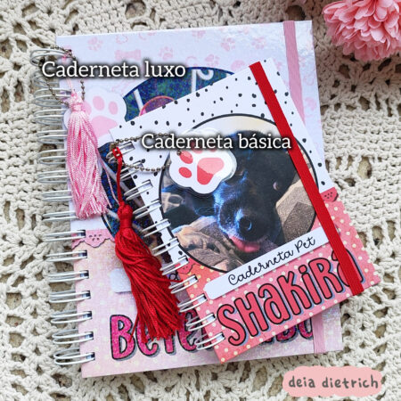 InShot_20250816_125454879